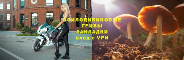 PSILOCYBIN Богданович