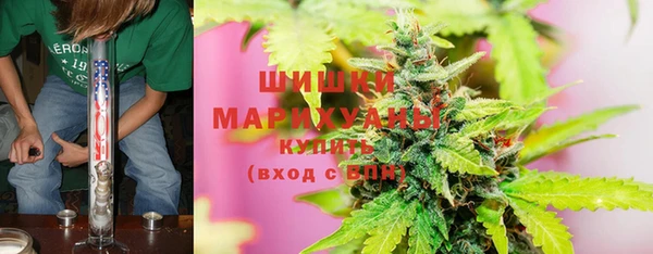 мяу мяу мука Бородино