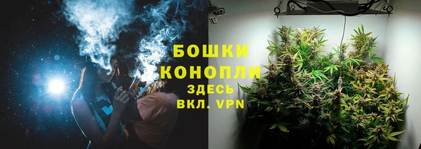 мяу мяу мука Бородино